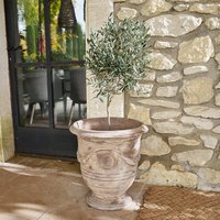 Maceta Garwood | beige envejecido | Alto/Ø aprox. 54/49 cm Unkategorisiert online kaufen