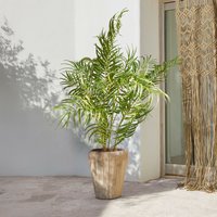 Palmera decorativa Mersina | verde | Alto/Ancho/P aprox. 200/120/120 cm Unkategorisiert online kaufen